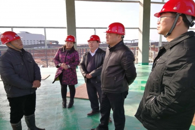 江西省國土廳許建平副廳長率隊 深入遂川堅基礦業調研硅產業發展情況